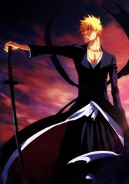 Блич, Сезон 1